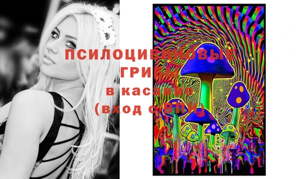 соль курить ск Михайловск