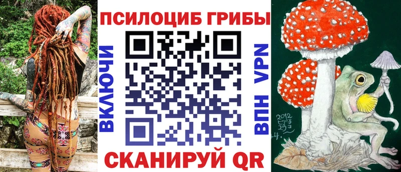 купить   Муравленко  Псилоцибиновые грибы Psilocybe 
