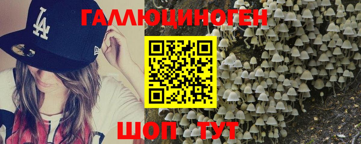 как найти наркотики  Галлюциногенные грибы Magic Shrooms  Муравленко  Вход с VPN  Галлюциногенные грибы GOLDEN TEACHER 